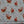 Load image into Gallery viewer, Christmas Fabric
