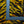 Load image into Gallery viewer, Fur
